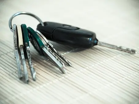 Car-Key-Duplication--in-Nesbit-Mississippi-Car-Key-Duplication-4723839-image
